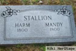 Hiram "harm" Stallion