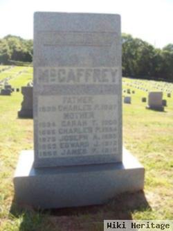 Edward J. Mccaffrey