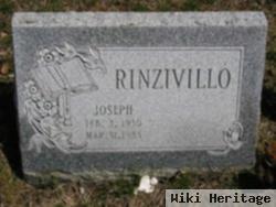 Joseph Rinzivillo