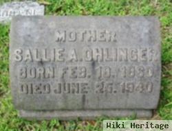 Sallie Agnes Hinkel Ohlinger