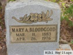 Mary Ann "pollie" Chesser Bloodgood