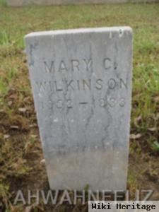 Mary C. Wilkinson