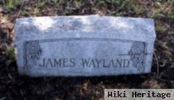 James Wayland Lanning
