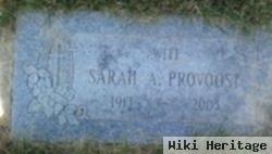 Sarah Ann Miller Provoost