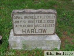 Opal Irene Harlow