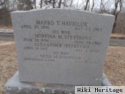 Marko T Havriluk