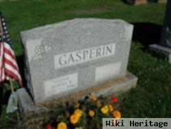 David F Gasperin