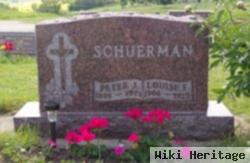 Peter J Schuerman