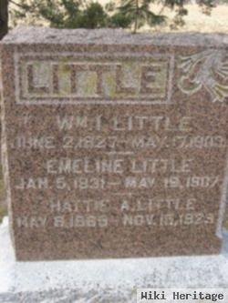 William Irving Little