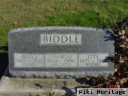 Riley J, Biddle