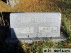 James John Hermenitt