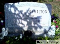 Terre L Hamilton