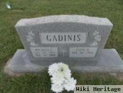 Michael C Gadinis