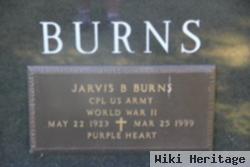 Jarvis Bee Burns