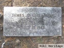 James Curtis Cheatham