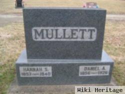 Daniel A Mullett