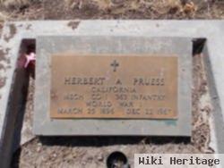 Herbert Allen Pruess