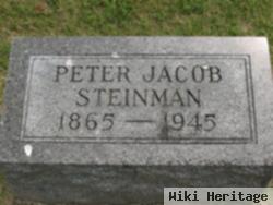 Peter Jacob Steinman