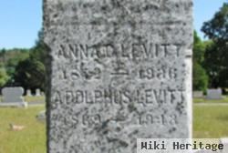 Adolphus Levitt