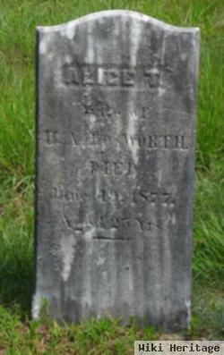 Alice E. Worth