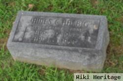 James C Halbig