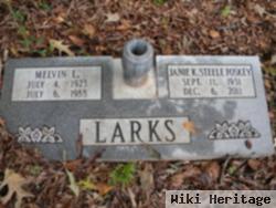 Janie K. Steele Foskey Larks