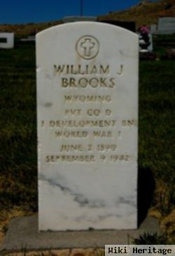 William J Brooks