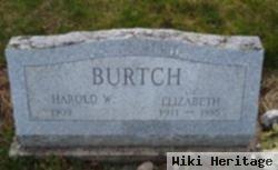 Anna Elizabeth "lil" Heinrichs Burtch