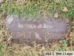 Alvina Henkel Elkins