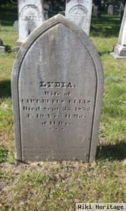 Lydia Sears Ellis