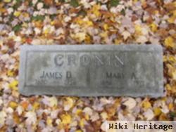 James D Cronin