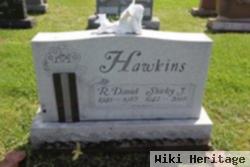 R Daniel Hawkins