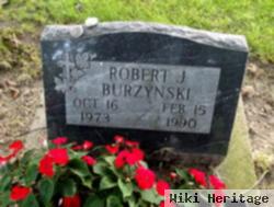 Robert J Burzynski