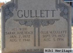 Sarah Jane Veach Gullett