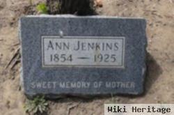 Ann Jenkins