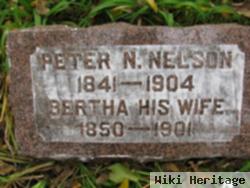 Peter Nile Nelson