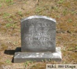 Eda Willard Evans