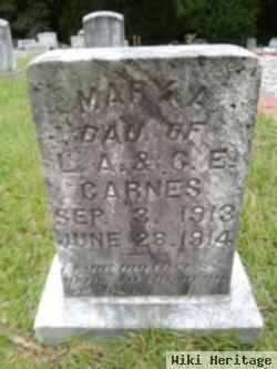 Mary A. Carnes