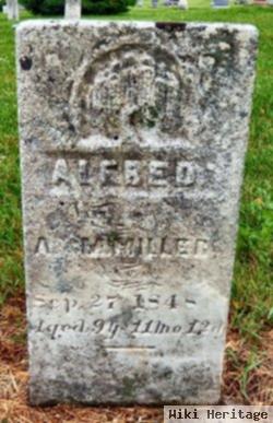 Alfred Miller