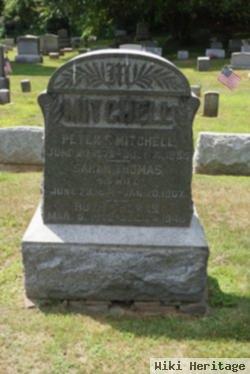 Peter F. Mitchell