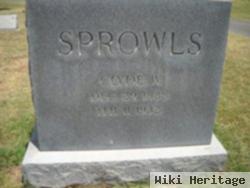 Clyde W. Sprowls