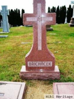 Helena C Krenek Brichacek