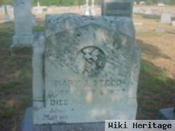 Mary A. Daniel Steed