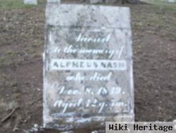 Alpheus Nash