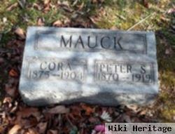 Peter S Mauck