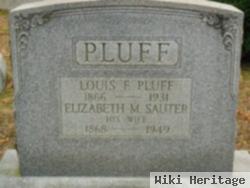 Elizabeth M Sauter Pluff