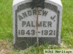 Andrew J Palmer