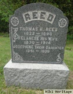 Thomas H Reed