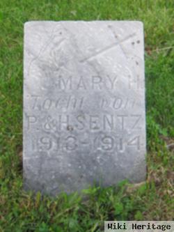 Mary H Sentz