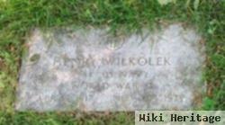 Henry Wilkolek